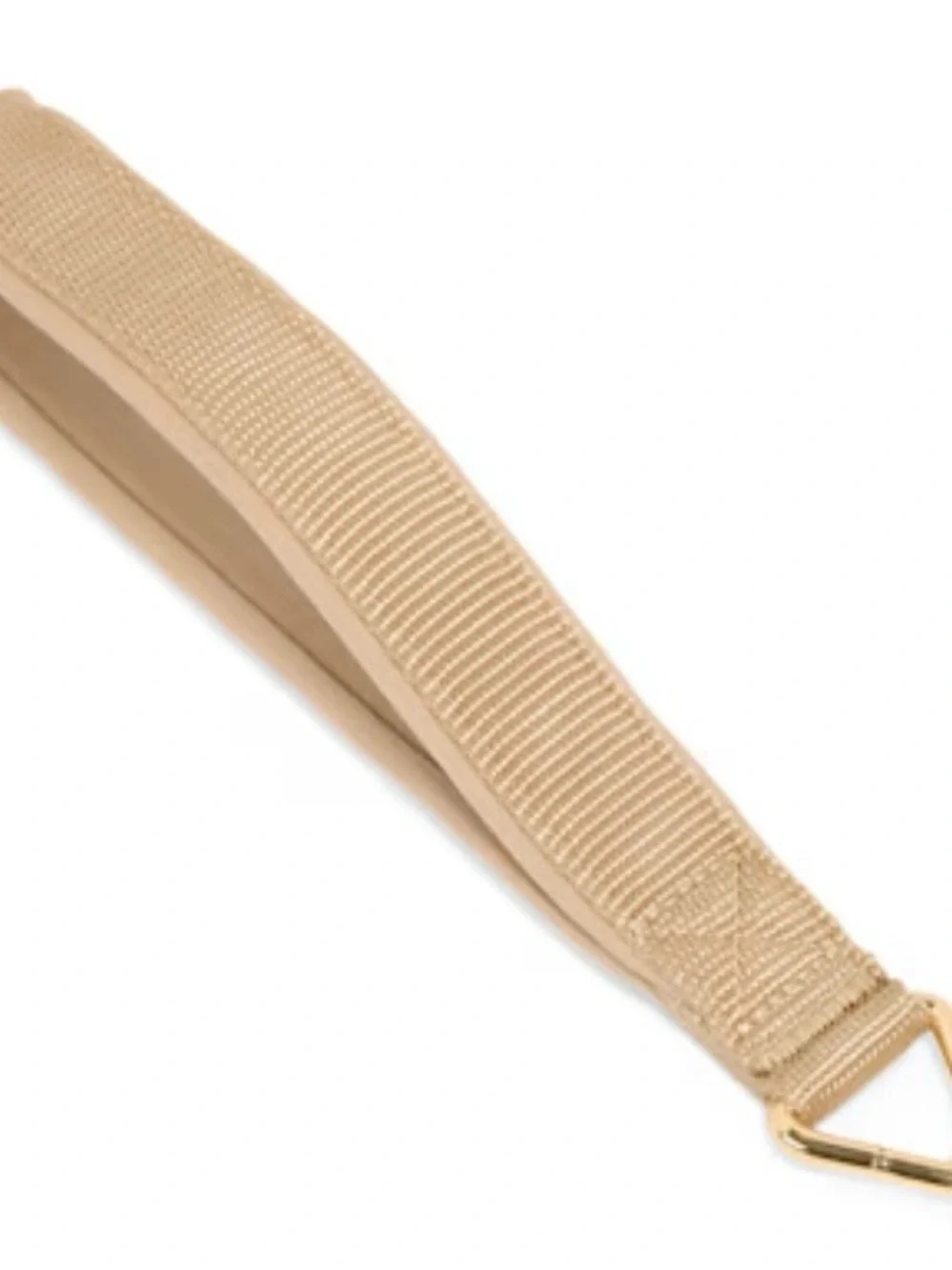 Gold-Tone Chain Dog Leash